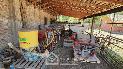 Predio 92 Ha En Morza Con Parrones En Producción