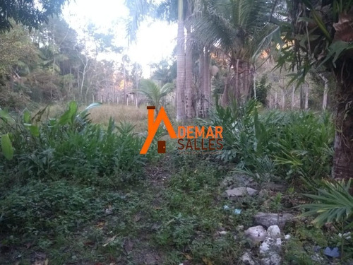 Imagem 23 de 23 de Chacara - Ch00064 - 68105344