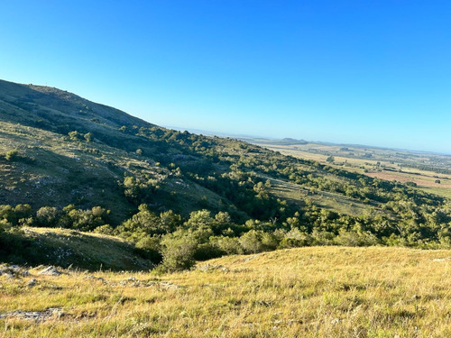 40 Has- Muy Panoramico- Campo De Sierra, Excelente Vista,  Mariscala