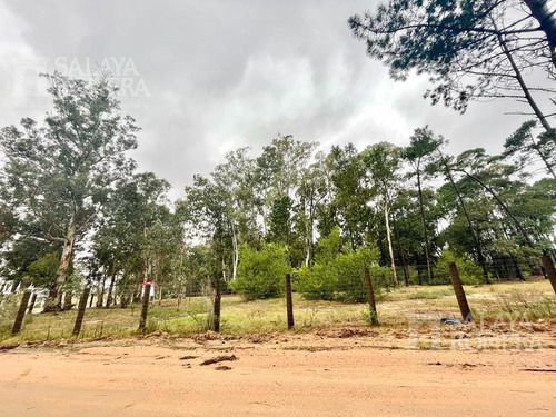 Imagen 7 de 10 de Venta Lote Apto Ph - Zona Comercial - Punta Del Este - Ref:4481520
