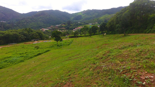 Imagem 8 de 11 de Lotes Exclusivos No Cônego - Lote 20 - 240