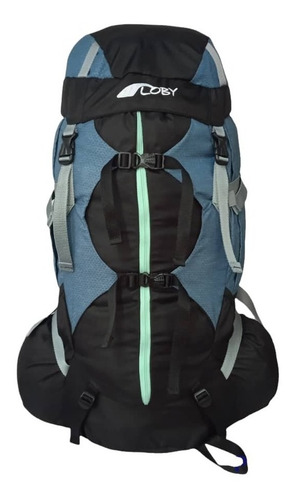 Imagen 2 de 5 de Morral De Excursión Montañismo 60 L Marca Loby