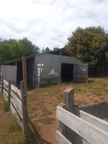 Imagen 27 de 30 de Agrícola Orilla Asfalto Con 5 Hectáreas En Venta En Cunco