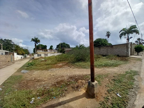 Imagen 5 de 5 de En Venta Terreno Muy Bien Ubicado, En San Fernando De Los Robles Municipio Maneiro
