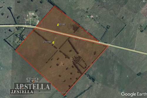 Campo 272 Ha Con Vivienda Y Mejoras - San Vicente