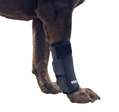 Pierna De Compresión Labra Perro Co. Frontal Canina Brace Wr