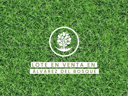 Terreno En Venta En Alvarez Del Bosque