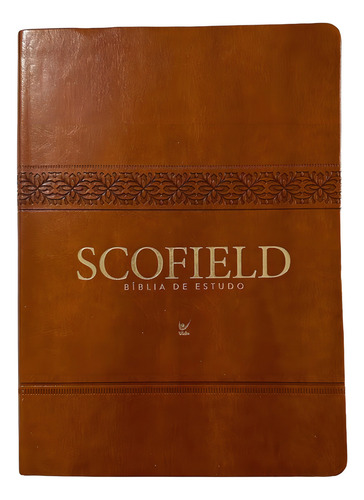 Bíblia De Estudo Scofield, De Cyrus Ingerson Scofield. Editorial Vid4, Capa Mole, Edição Almeida Edição Contemporânea (aec) Em Português