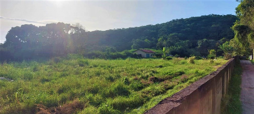 Imagem 9 de 20 de Terreno Em Guaratiba, Rio De Janeiro/rj De 2664m² À Venda Por R$ 350.000,00 - Te1886120-s