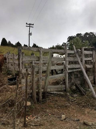 Imóvel Na Praia Com 3 Quartos Em Piedade/sp 4644-pc