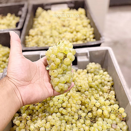 Imagen 4 de 10 de Vino Lindaflor Chardonnay Caja X 6 X 750ml. --