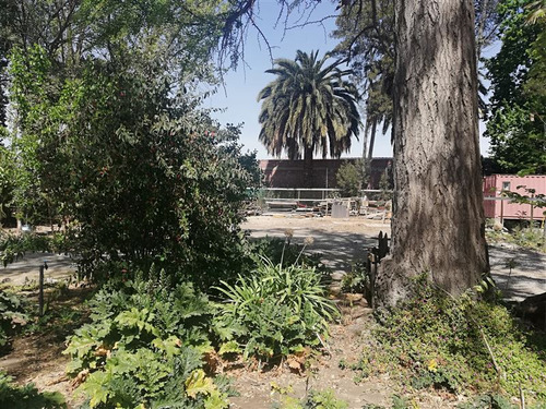 Terreno Construccion En Venta En Peñaflor
