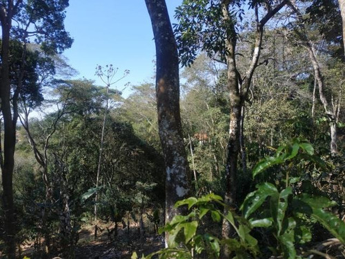 Imagem 15 de 15 de Cód 6151 - Chácara 1.000 M² A Menos De 5 Minutos Do Centro D - 6151