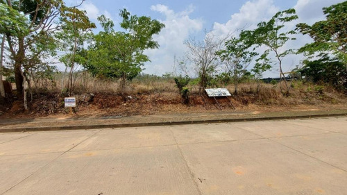 Imagen 2 de 14 de En Venta Terreno En Valencia Guataparo Country Club De 900m2
