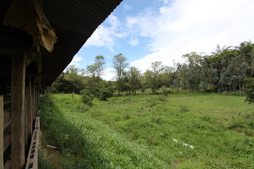 Imagen 19 de 20 de Finca Con Galpones En Marinilla