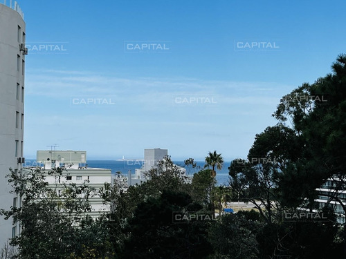 Imagen 13 de 30 de Apartamento De Un Dormitorio En Alquiler Anual, Punta Del Este - Punta Del Este Brava