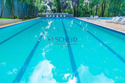 Imagem 9 de 9 de Apartamento De 53m A Venda No Morumbi Oportunidade!!! - Mr76541