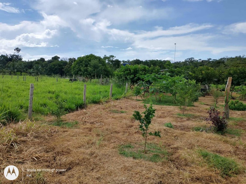 Vende Chácara 95x1585 A 3.5 Km De Rolim De Moura Rondônia