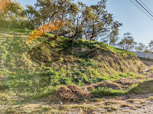 Imagem 2 de 7 de São Roque Sp Terreno 2.500 M² Doc Ok. Sro-4