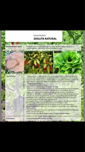 Zeolita En Polvo 10 Kg