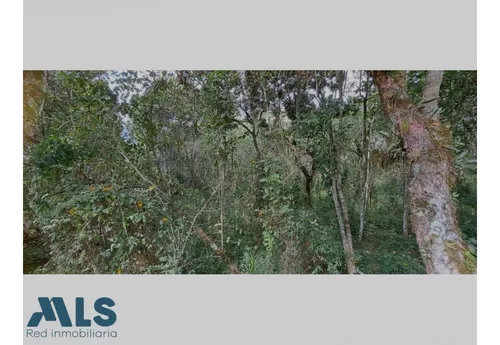 Finca Independiente En Rionegro - Sajonia(mls#246280)