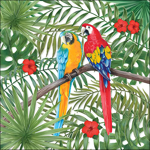 Guardanapo Para Decoupage Ambiente Papagaios Com 20 Unidades Cor Colorido