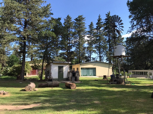 Imagen 8 de 14 de Campo Venta Bialet Masse