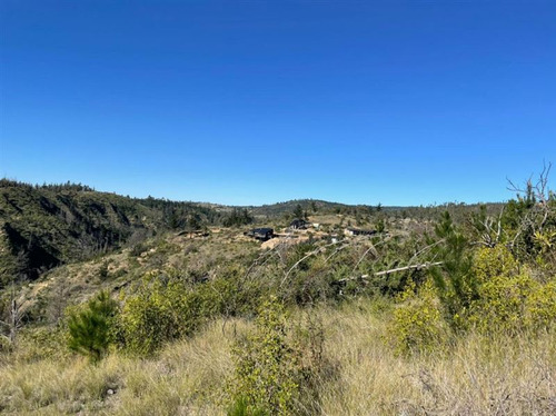 Sitio En Venta En Matanzas (incluye Tiny Cabin)
