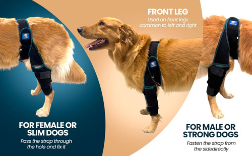 Joelheira Para Cães Happy Pets Co Ajustável Para Ligamento C