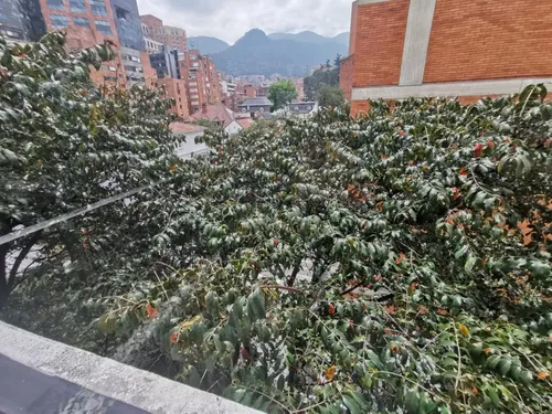 Venta De Apartamento En Quinta Camacho