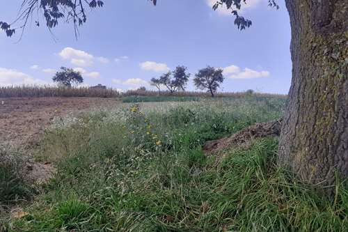 Lote De Terreno Habitacional En Venta, Zacango-toluca