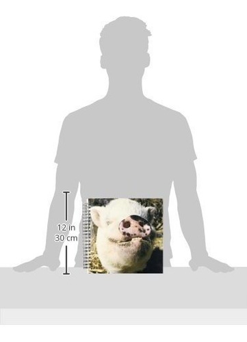 3drose Db_92681_2 Pet Pot Bellied Pig Farm Animal Nuevo Mexi