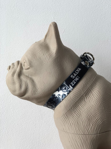 Collar Para Mascotas Perro Gato Con Nombre- Todos Los Talles Varios Crash B/w S - 26 A 36 Cm
