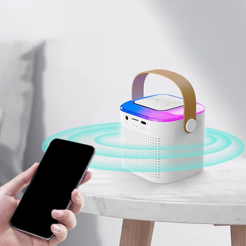 Karaoke Portátil Con Micrófonos Y Altavoz Para Fiestas En