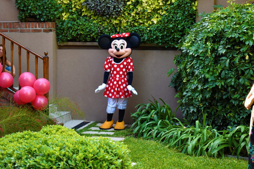 Animación/show Mickey Y Minnie Infantil/adultos