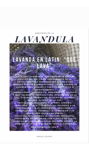 Imagen 3 de 5 de Lavanda Flores Secas Patagonia