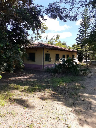 Imagen 10 de 12 de Finca En Nirgua Yaracuy Fot-137