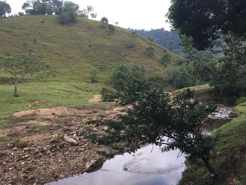 Se Vende Finca Ganadera En Doradal