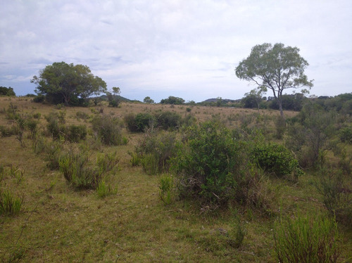 Campo De 13 Hectáreas Con Arroyo
