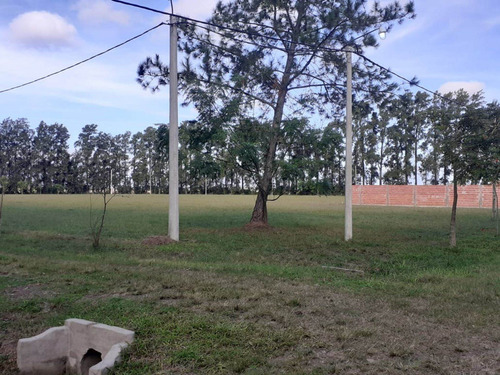 Imagen 8 de 15 de Terreno En Venta En Barrio El Chaqueño
