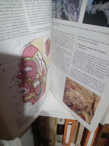 Anatomia Humana 2 Tomos. Latarjet-ruiz Liard (Usado)