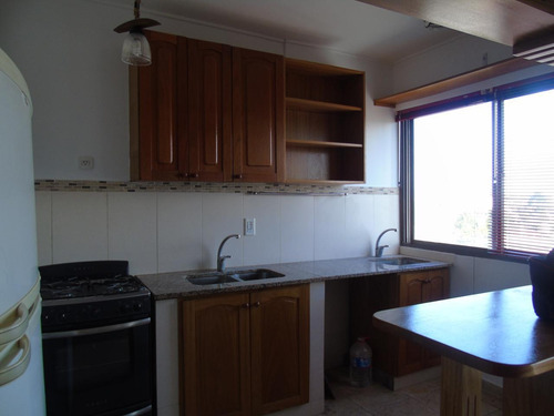 Imagen 4 de 19 de Departamento En Alquiler En La Plata Calle 35 E/ 25 Y 26 Dacal Bienes Raices