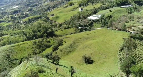 Venta De Lotes En Guatape, Antioquia