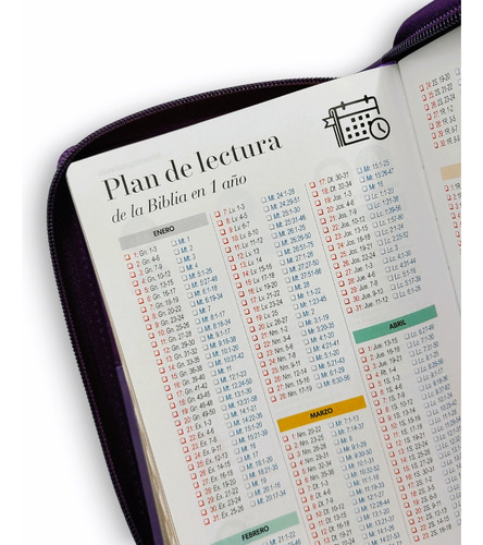 Imagen 8 de 9 de Biblia Juvenil Compacta Letra Grande 11 Pt Morado Duotono