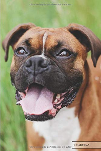 Perros: Boxer: Cuaderno Unico Planificador Diario Para Un Re