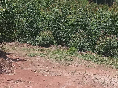 Imagem 6 de 14 de F15 - Lotes De 10.000mts Não Perca Tempo Dez Mil Metros