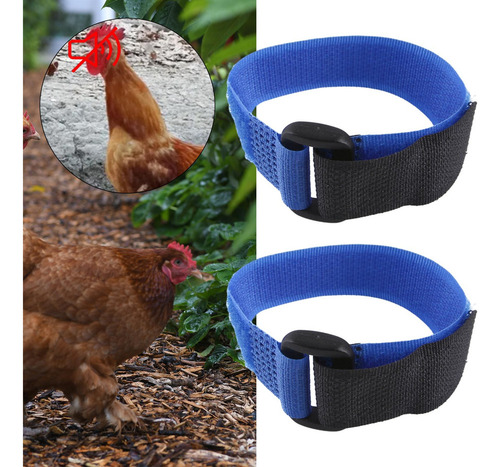 U, 2 Uds Gallo Anti Cuervo Collar Cuello Cinturón Azul Azul