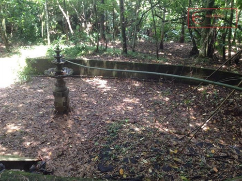 Imagem 18 de 21 de Chácaras À Venda Em Mairiporã/sp - Compre O Seu Chácaras Aqui! - 1492428