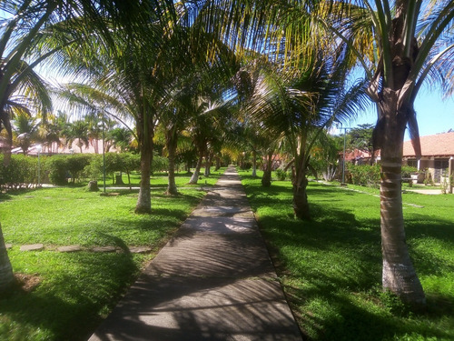 Townhouse En Venta En Higuerote (trato Directo Con El Propietario) Jdv Cod 24-19832