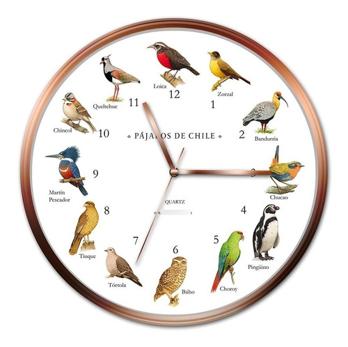 Andes1 Reloj Pared Pájaros De Chile